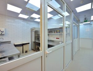 safadi3 e1528026224565